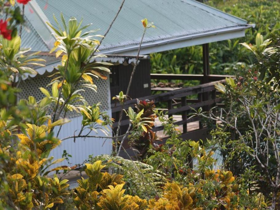 Pension Temaeva Villa Opoa Bilik gambar