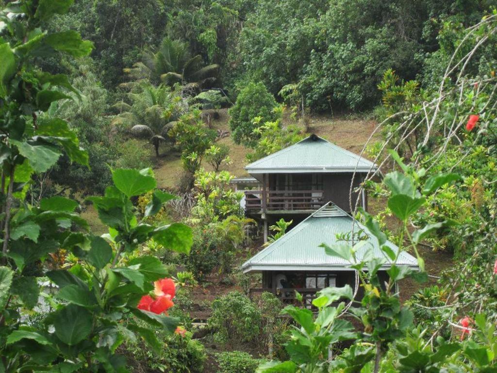 Pension Temaeva Villa Opoa Bilik gambar